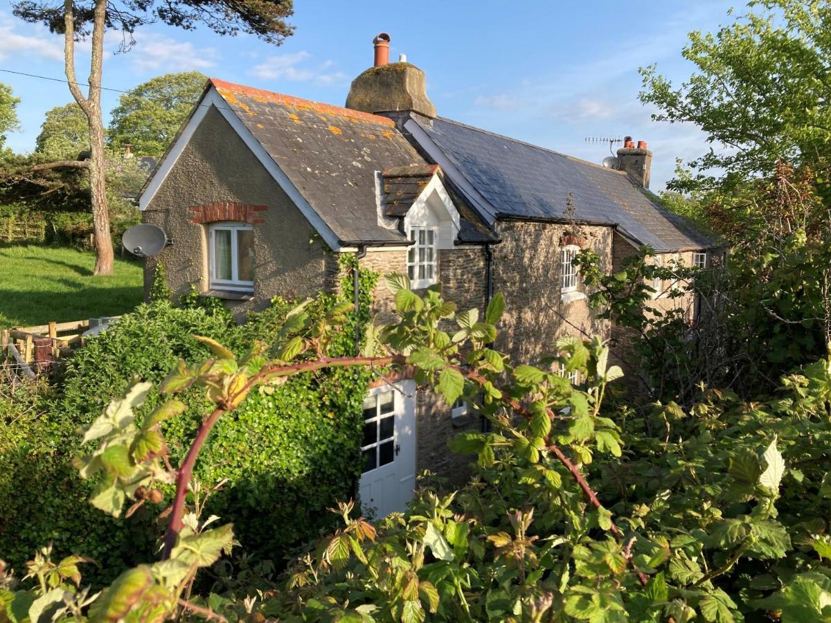 Yew Tree Cottage Dartmouth Eksteriør billede